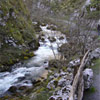 Imagen Ruta de los Arrudos. PR.AS-61