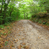 Image Ruta del Castañeru Montes. SL.AS-112