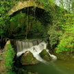 Image Senda verde La Aldea Perdida